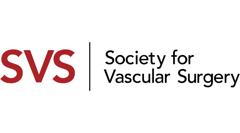 06-SVS